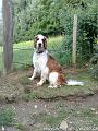 2010-07-06 06